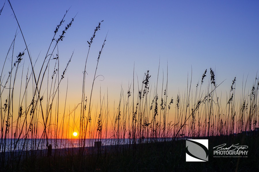 bradstyronphotography.com